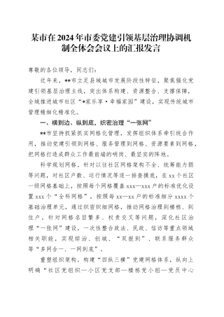 某市在2024年市委党建引领基层治理协调机制全体会会议上的汇报发言