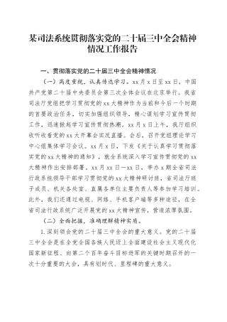 某司法系统贯彻落实党的二十届三中全会精神情况工作报告