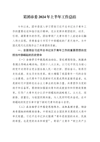 某团市委2024年上半年工作总结