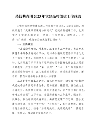某县共青团2023年党建品牌创建工作总结