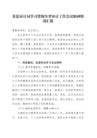 某县审计局学习贯彻全省审计工作会议精神情况汇报