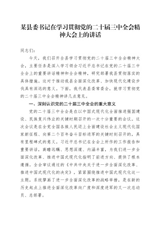 某县委书记在学习贯彻党的二十届三中全会精神大会上的讲话