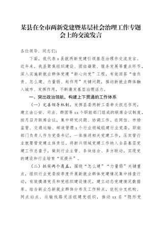 某县在全市两新党建暨基层社会治理工作专题会上的交流发言