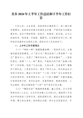 某乡2024年上半年工作总结和下半年工作打算