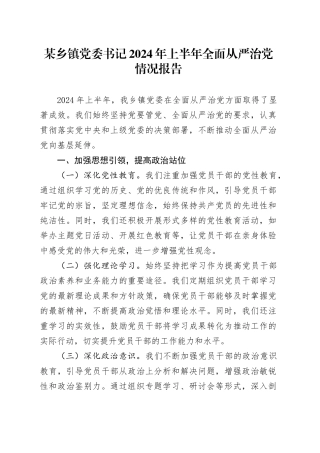 某乡镇街道党委书记2024年上半年全面从严治党情况报告