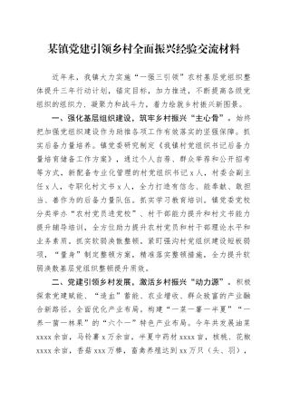 某镇党建引领乡村全面振兴经验交流材料
