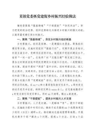 某镇党委抓党建促乡村振兴经验做法