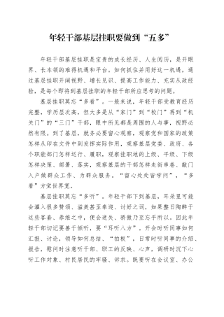 年轻干部基层挂职要做到“五多”