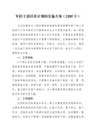 年轻干部培养计划的实施方案（2285字）