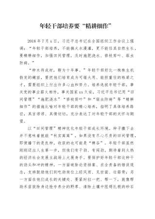 年轻干部培养要“精耕细作”