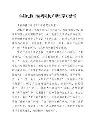 年轻纪检干部到局机关跟班学习心得体会