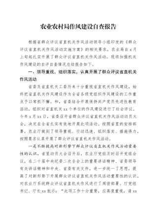 农业农村局作风建设自查报告