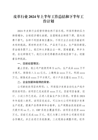 皮革行业2024年上半年工作总结和下半年工作计划