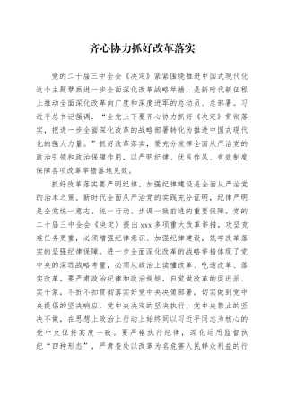 齐心协力抓好改革落实