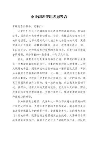 企业副职任职表态发言