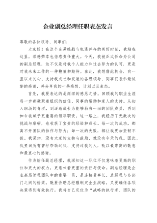 企业副总经理任职表态发言
