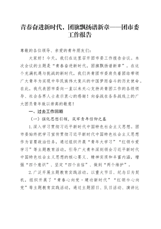 青春奋进新时代，团旗飘扬谱新章 —— 团市委工作报告
