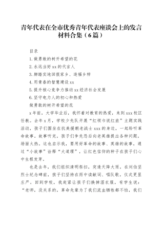 青年代表在全市优秀青年代表座谈会上的发言材料合集（6篇）