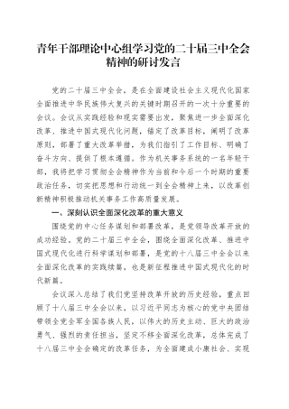 青年干部理论中心组学习党的二十届三中全会精神的研讨发言