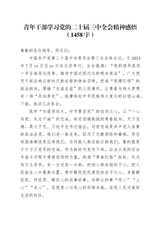 青年干部学习党的二十届三中全会精神感悟（1458字）