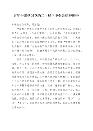 青年干部学习党的二十届三中全会精神感悟