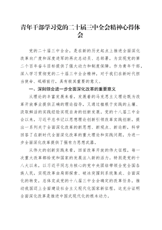 青年干部学习党的二十届三中全会精神心得体会