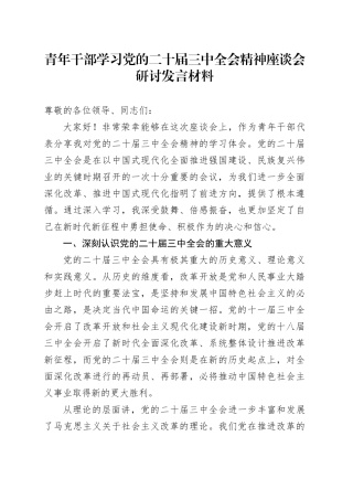 青年干部学习党的二十届三中全会精神座谈会研讨发言材料心得体会20241016