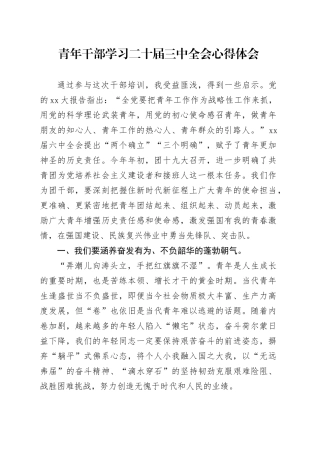 青年干部学习二十届三中全会心得体会