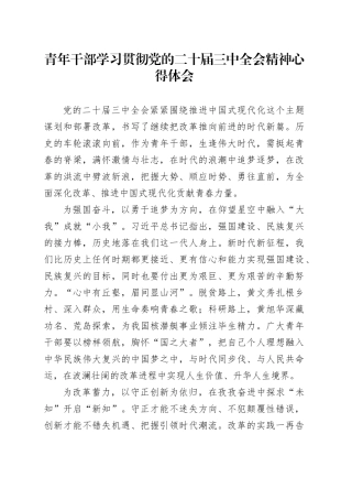 青年干部学习贯彻党的二十届三中全会精神心得体会