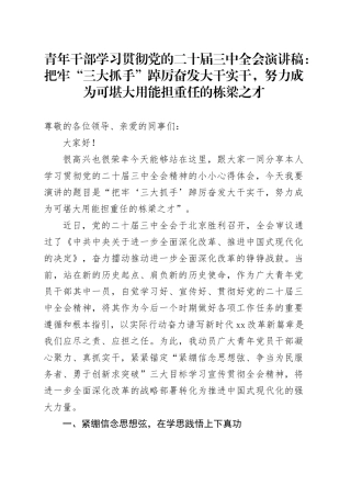 青年干部学习贯彻党的二十届三中全会演讲稿：把牢“三大抓手”踔厉奋发大干实干，努力成为可堪大用能担重任的栋梁之才