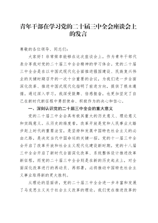 青年干部在学习党的二十届三中全会座谈会上的发言