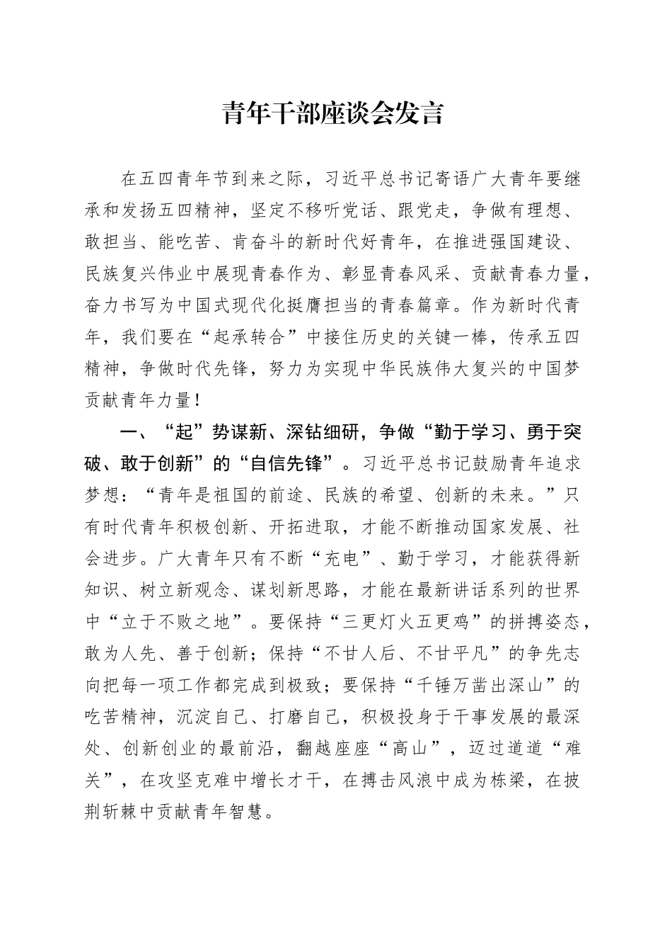 青年干部座谈会发言_第1页