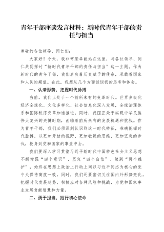 青年干部座谈会发言材料新时代青年干部的责任与担当年轻20241009