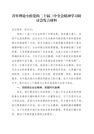 青年理论小组党的二十届三中全会精神学习研讨会发言材料心得体会20241016