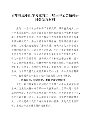 青年理论小组学习党的二十届三中全会精神研讨会发言材料心得体会20241106