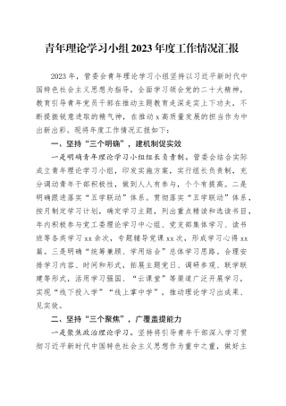 青年理论学习小组2023年度工作情况汇报