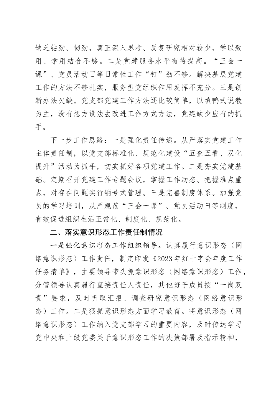 区红十字会党支部抓基层党建述职报告_第2页