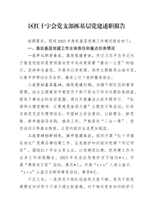 区红十字会党支部抓基层党建述职报告