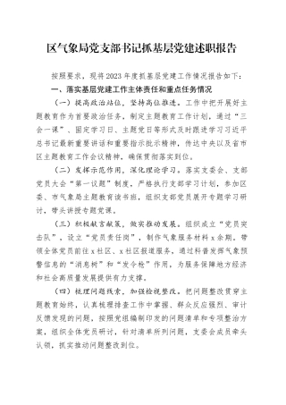 区气象局党支部书记抓基层党建述职报告