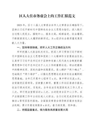 区人大在市务虚会上的工作汇报总结报告20240408
