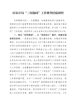 区审计局“三审协同”工作典型经验材料