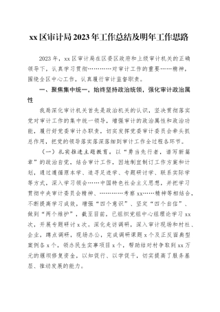 区审计局2023年工作总结及明年工作思路