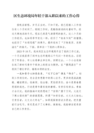 区生态环境局年轻干部入职以来的工作心得