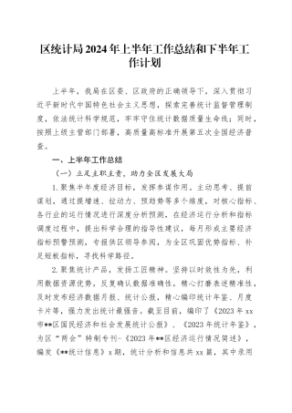 区统计局2024年上半年工作总结和下半年工作计划