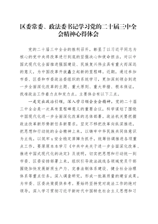 区委常委、政法委书记学习党的二十届三中全会精神心得体会