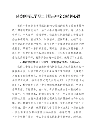 区委副书记学习二十届三中全会精神心得