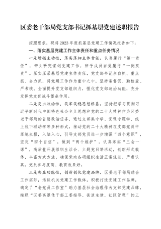 区委老干部局党支部书记抓基层党建述职报告