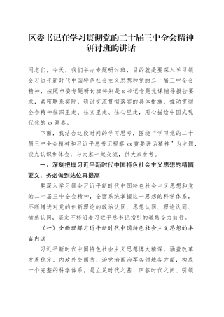区委书记在学习贯彻党的二十届三中全会精神研讨班的讲话