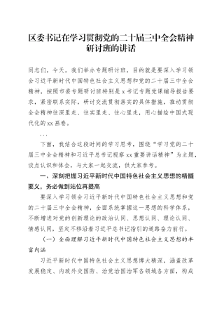 区委书记在学习贯彻习党的二十届三中全会精神研讨班的讲话