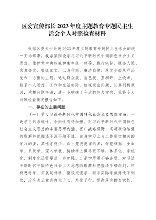区委宣传部长2023年度主题教育专题民主生活会个人对照检查材料